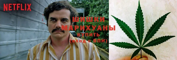 прущие крисы Арсеньев