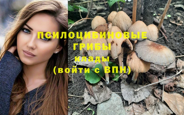 прущие крисы Армянск