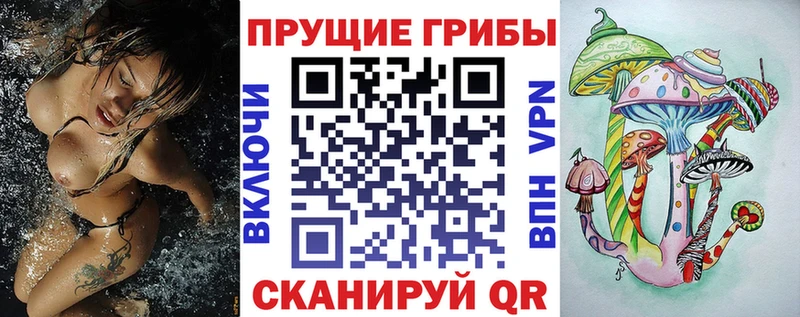 Галлюциногенные грибы мухоморы  купить закладку  Жигулёвск 